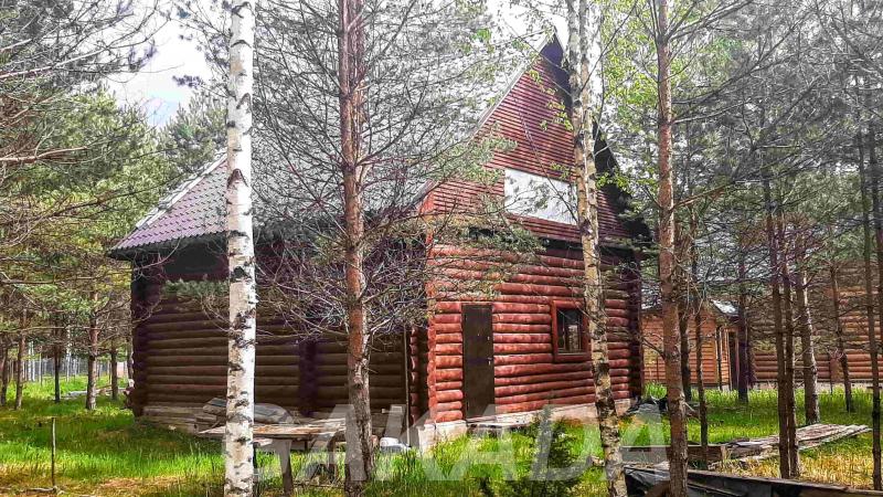 Бревенчатый дом в сказочном хвойном лесу у живописного озе,  Псков