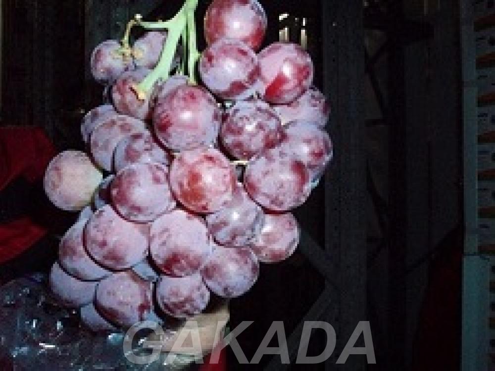 Предлагаем виноград из Аргентины, Вся Россия