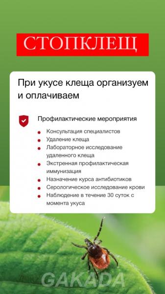 Добровольное медицинское страхование по программе Стоп Кле,  Хабаровск