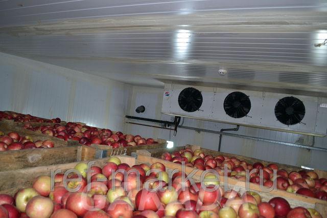 Холодильное оборудование для овощей, фруктов и ягод
