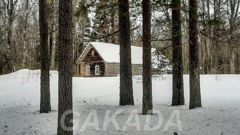 Крепкий домик на эстонском хуторе в хвойном лесу под Стары, Печоры