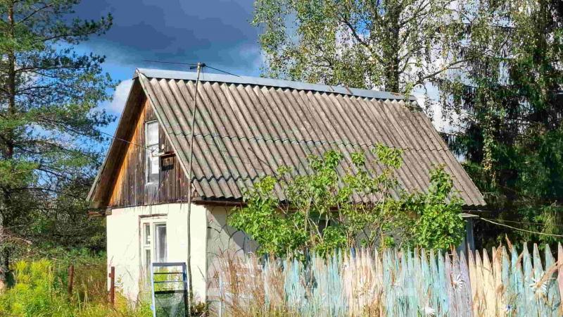 Дачный домик с хорошей баней у речушки и леса под Псковом,  Псков