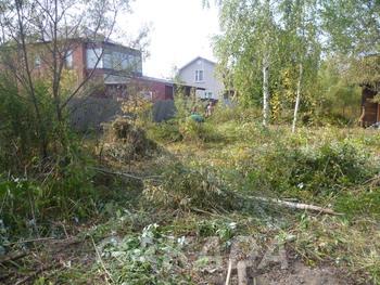 Расчистка участка от кустарника вырубка спил деревьев Поко, Ногинск