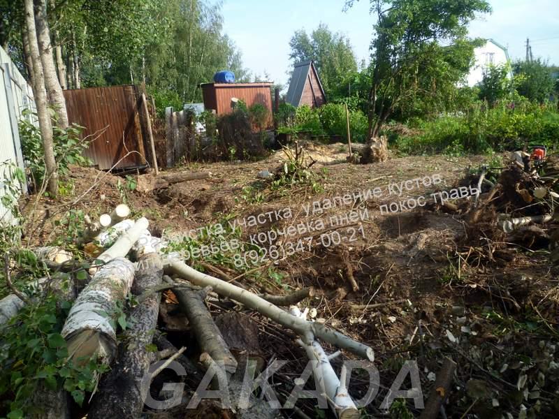 Обрезка спил валка деревьев расчистка участка, Сергиев Посад