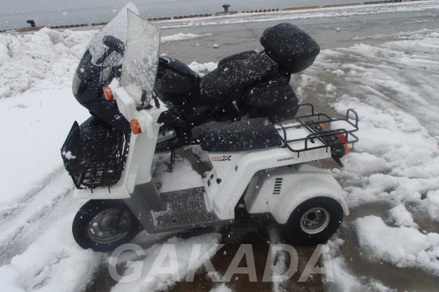 Скутер Honda ветровое стекло передний задний багажник, Вся Россия