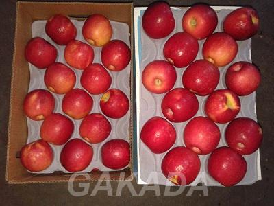 Предлагаем яблоки из Аргентины, Вся Россия