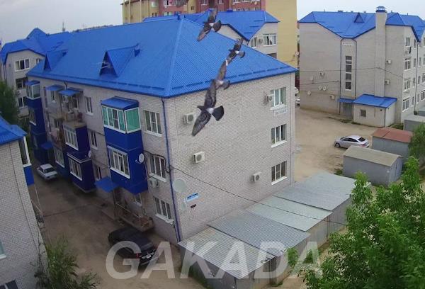 Двухкомнатная квартира в пос Северном До Школы всего 1 2 к,  Краснодар
