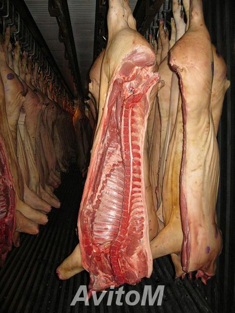 Мясо свинины охлажденное и заморозка,  Курск