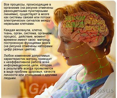 Лечебно диагностическая система восстановительной медицины,  Санкт-Петербург