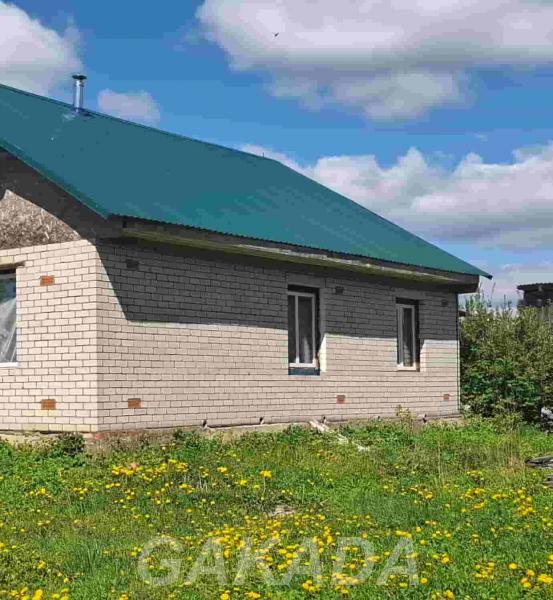 Дом у хвойного леса в Пушкинских Горах Псковской области, Пушкинские Горы