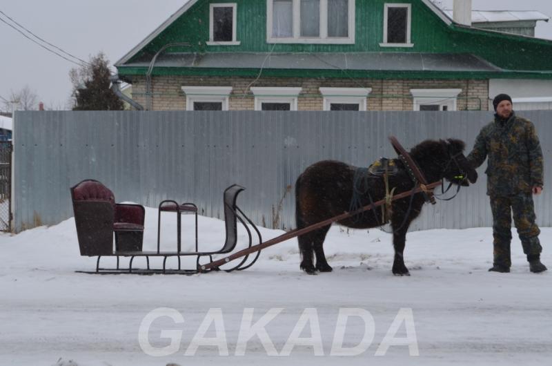 Продажа Сани на пони и лошадь,  Нижний Новгород