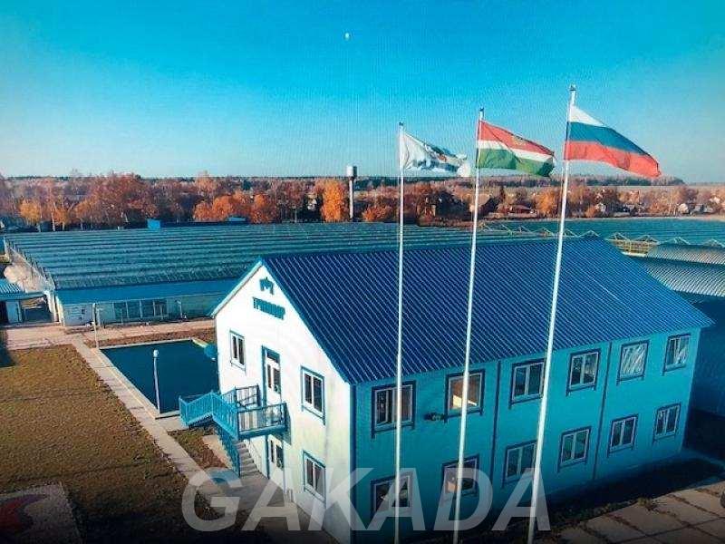 Продается аграрный комплекс с теплицами в 63 км от Москвы,  Москва